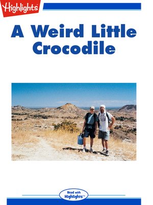 cover image of A Weird Little Crocodile
